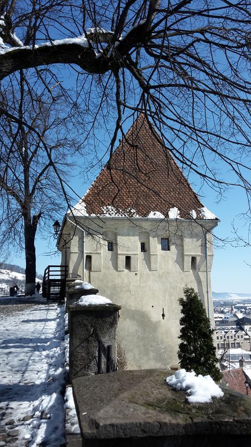 Casa Marcus Lägenhet Sighişoara Exteriör bild