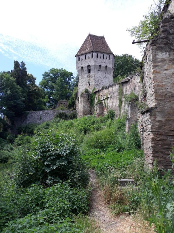 Casa Marcus Lägenhet Sighişoara Exteriör bild
